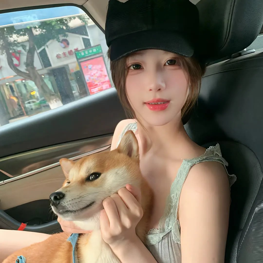 我的小狮王